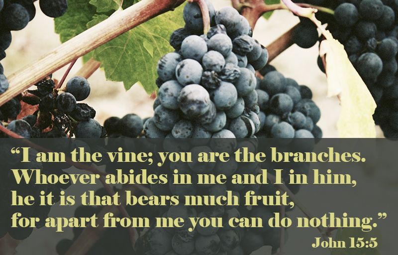 John 15:5