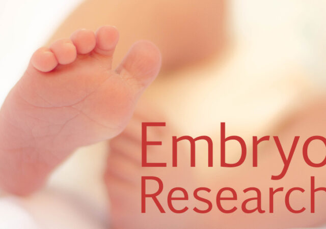 Embryo Research