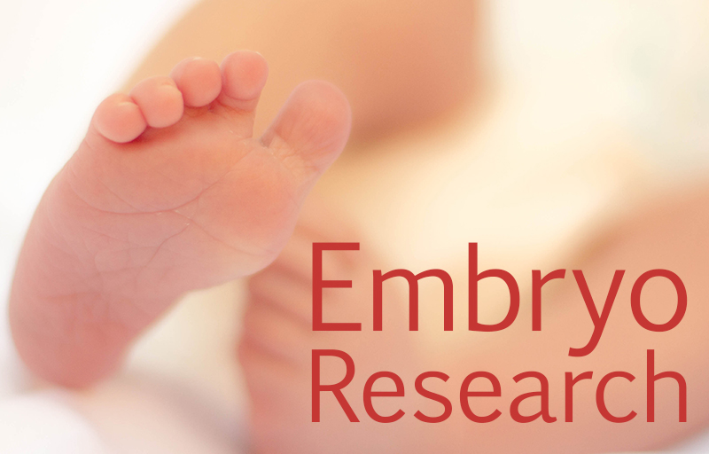 Embryo Research