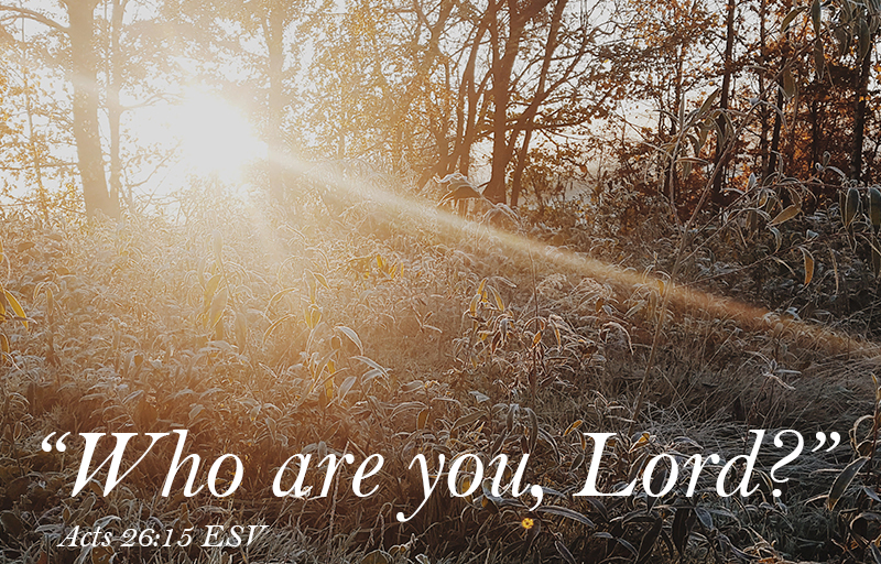 Acts 26:15