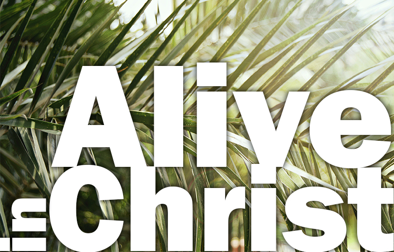 alive in christ
