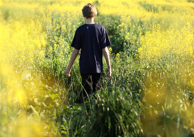 Jesus heals paralytic