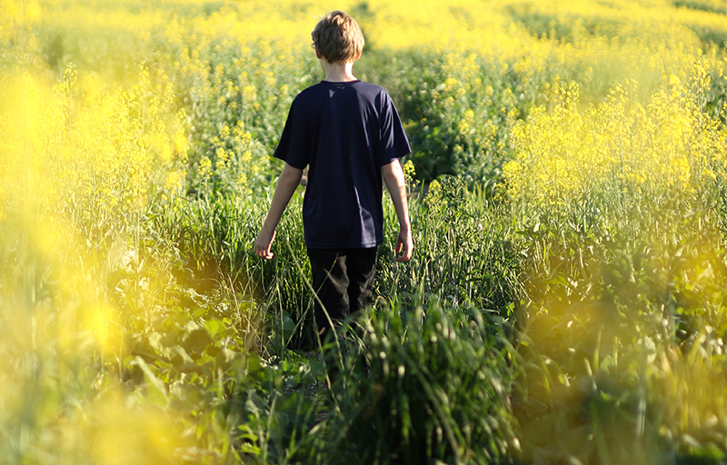 Jesus heals paralytic