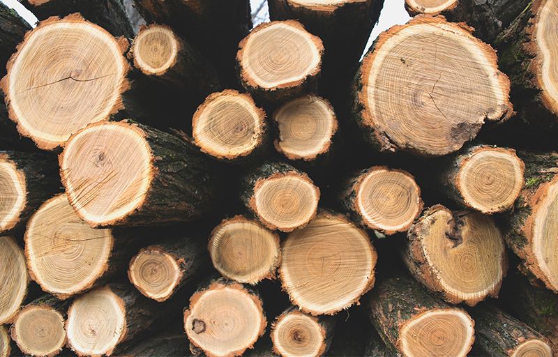 altar of burnt offering