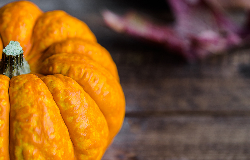 ISM thanksgiving feast