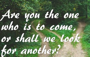 Matthew 11