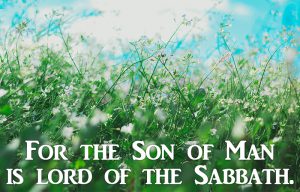 Matthew 12