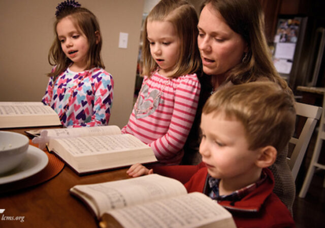 Lifelong Catechesis