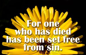 Romans 6