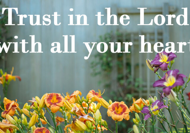 Daily Lectionary