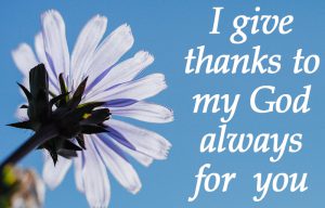 1 Corinthians 1