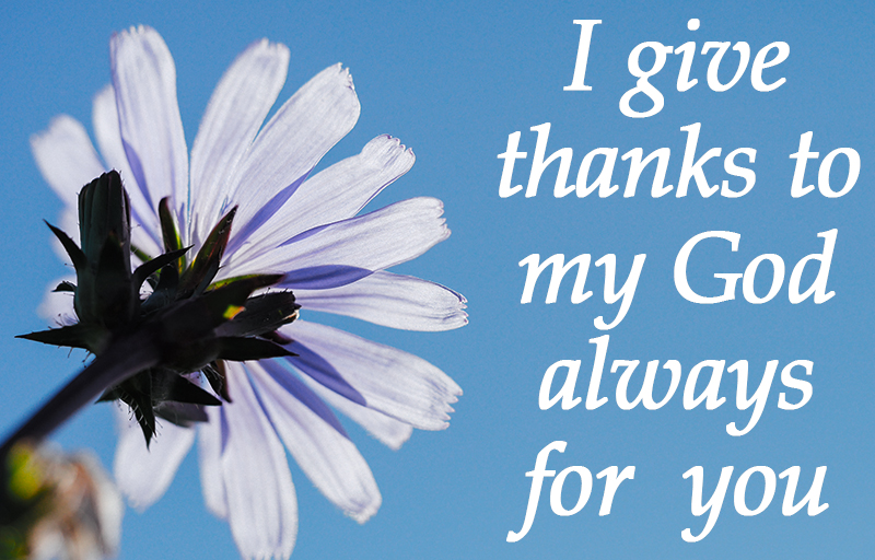 1 Corinthians 1