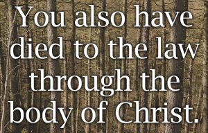 Romans 7