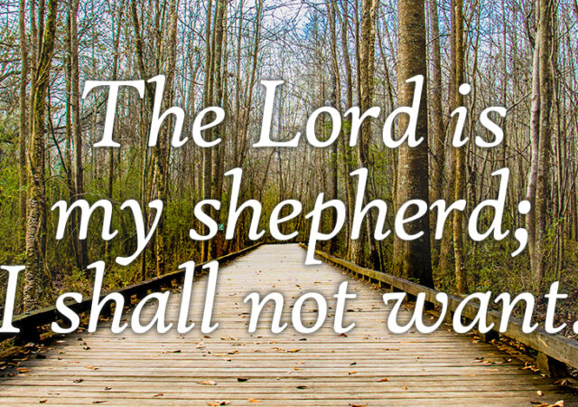 Psalm 23