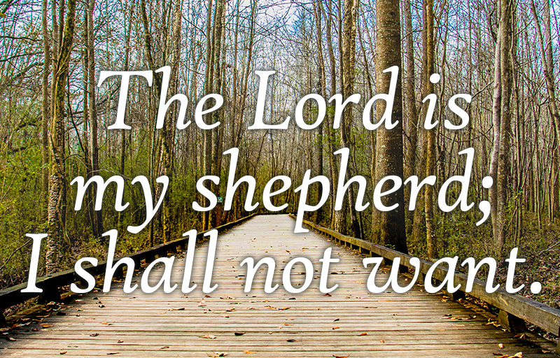Psalm 23