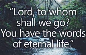 John 6