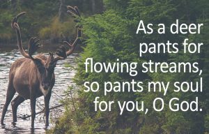 Psalm 42