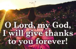 Psalm 30