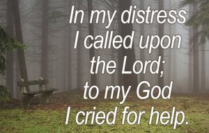 Psalm 18