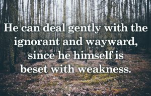 Hebrews 5
