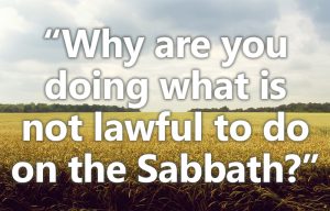 Luke 6