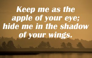 Psalm 17