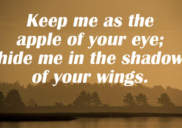 Psalm 17