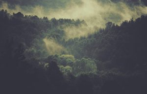 Creation