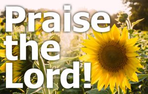 Psalm 111