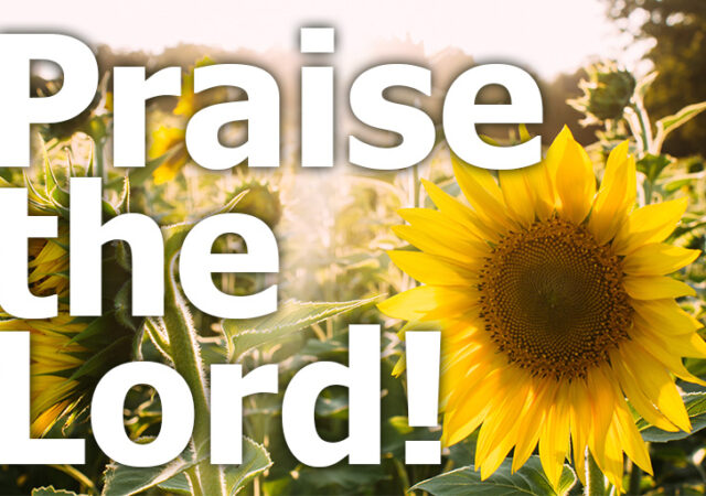 Psalm 111