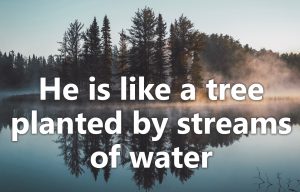 Psalm 1