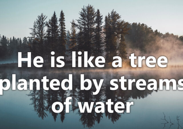 Psalm 1