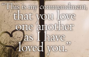 John 15