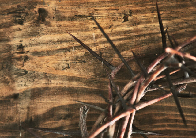 John 19