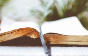 Acts 13