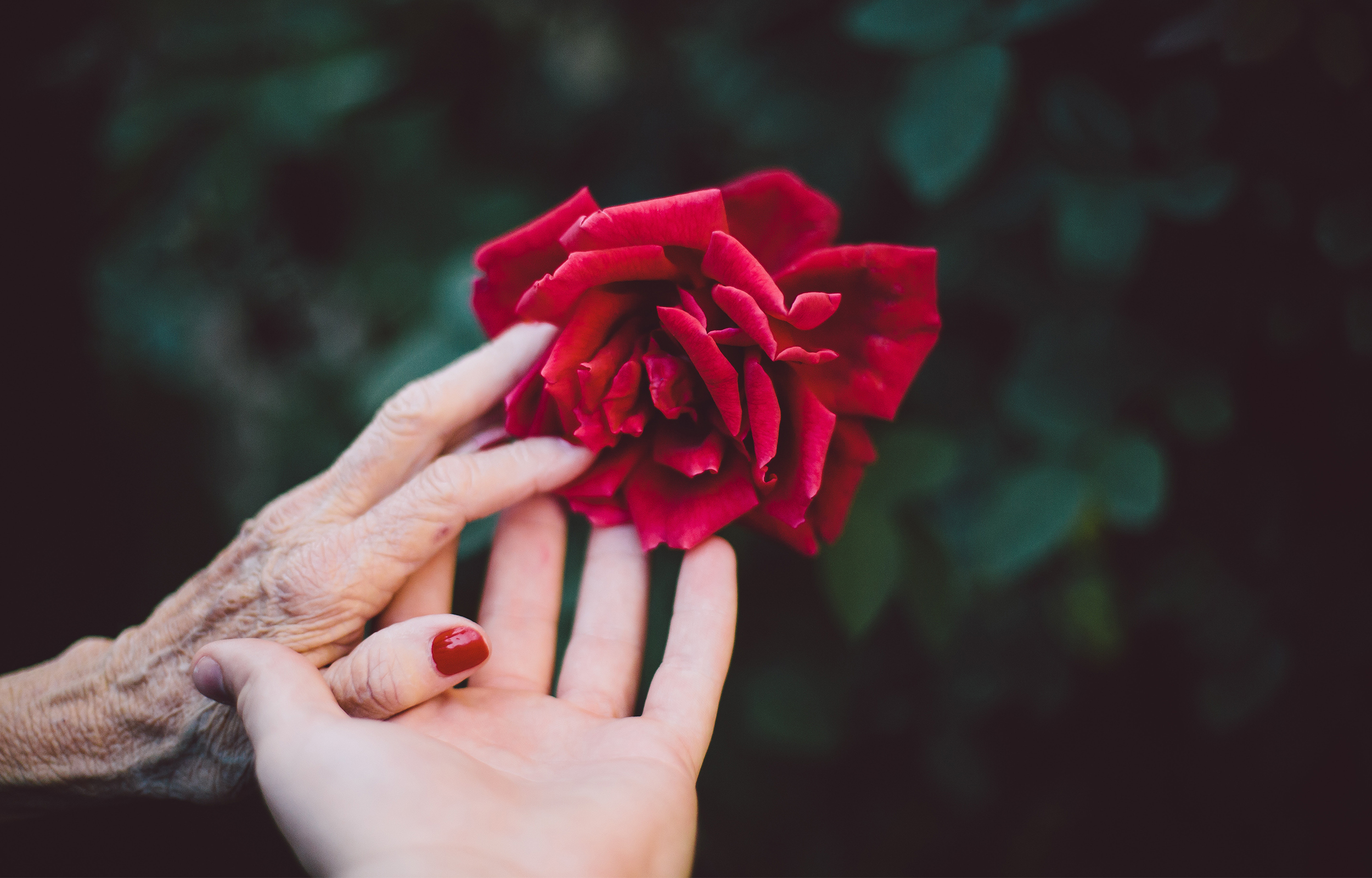 Lutherans For Life Conference