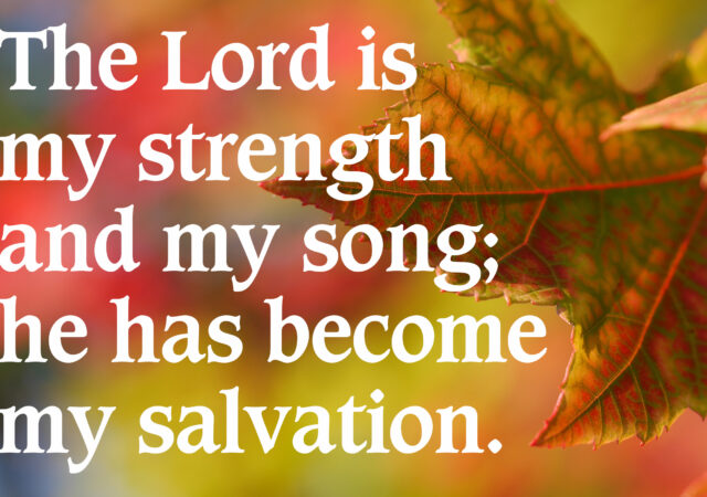 Psalm 118