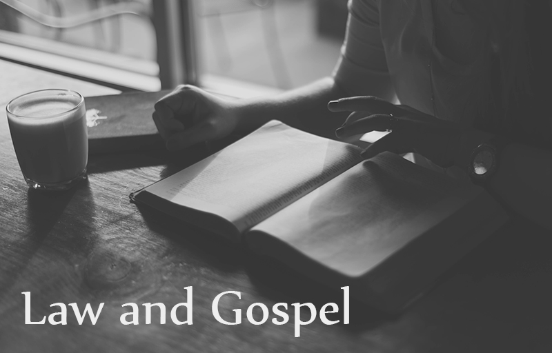 Law and Gospel: Insight