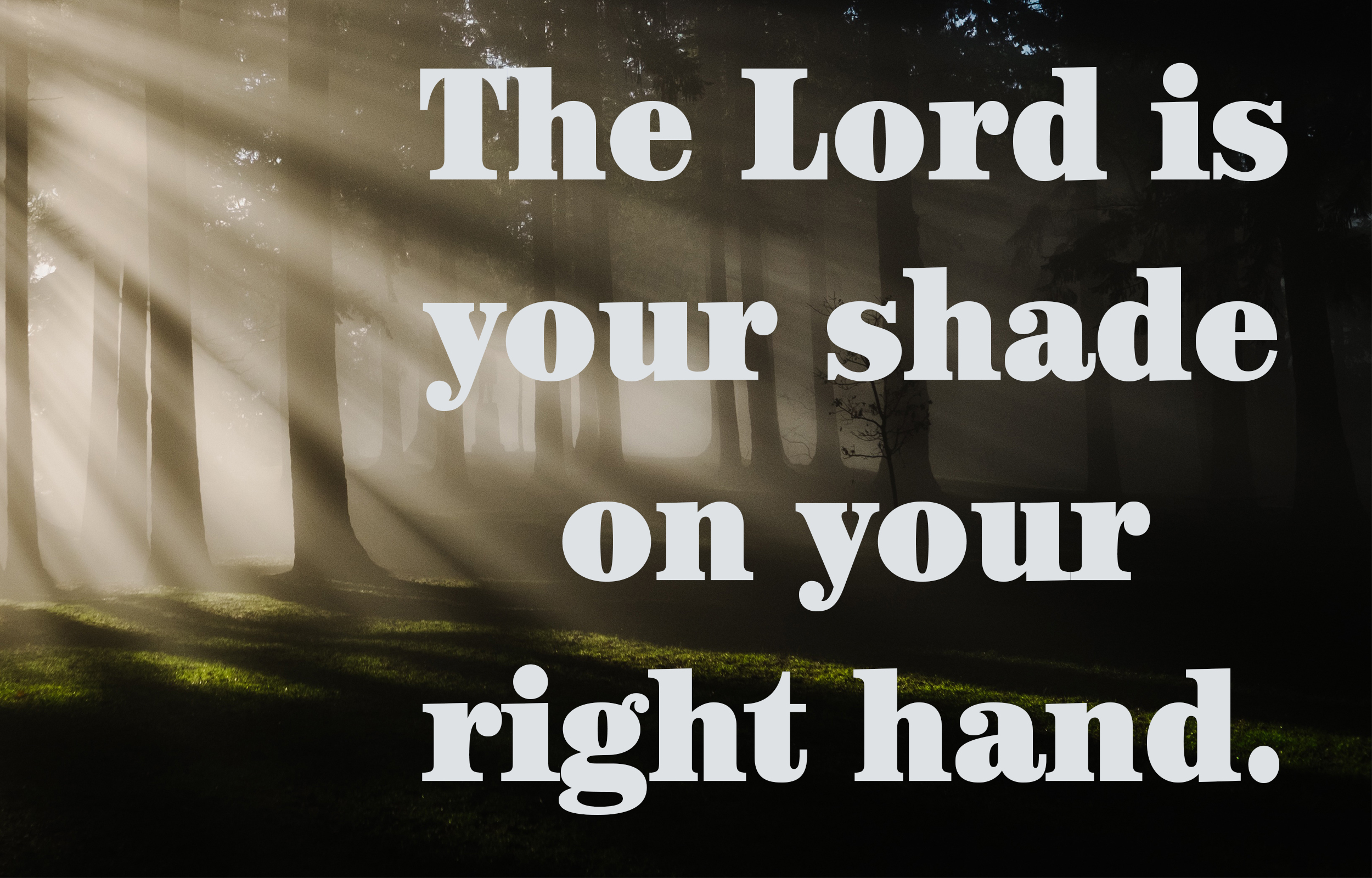 Looking Ahead Proper 24