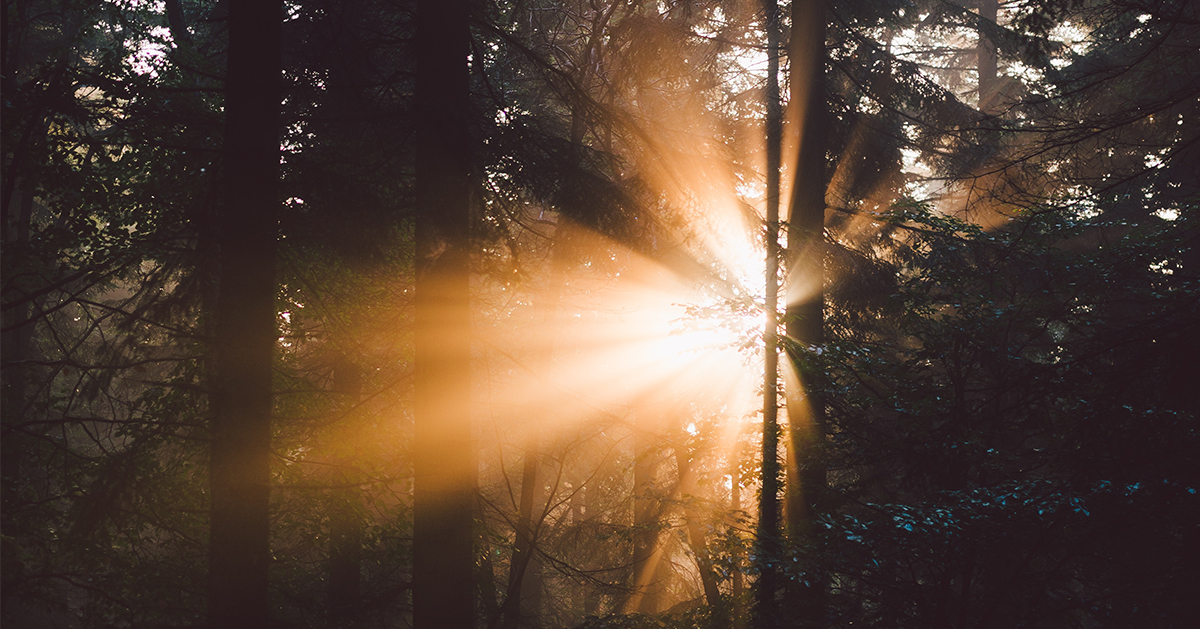 24th Sunday Pentecost