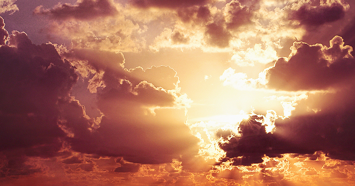 Joy In Unexpected Loss