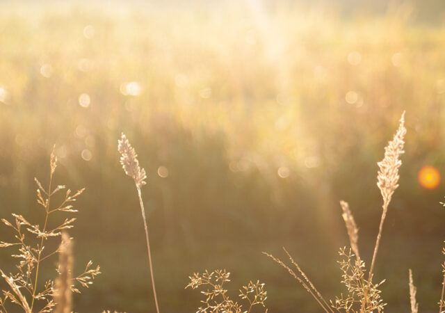 Heavenly Misconceptions