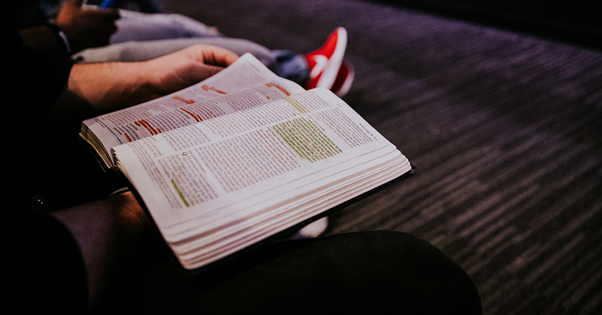 New Bible Translation