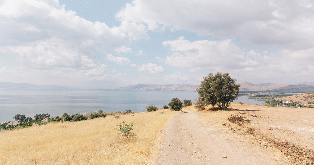 Rural road through a barren desert in Mount of Beatitudes