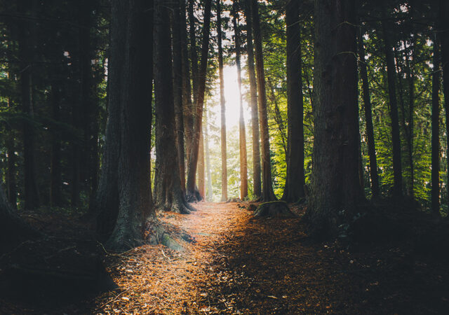 Colossians 1