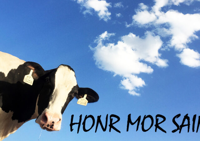 Honr Mor Saintz