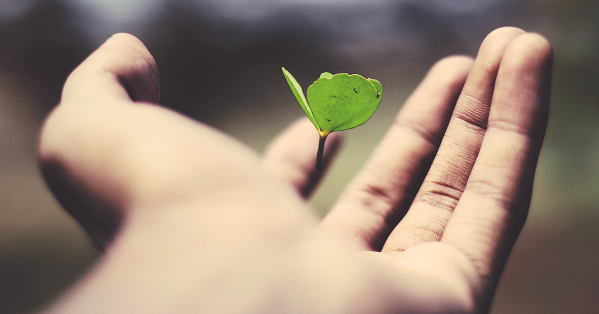 Lutheran Service in America