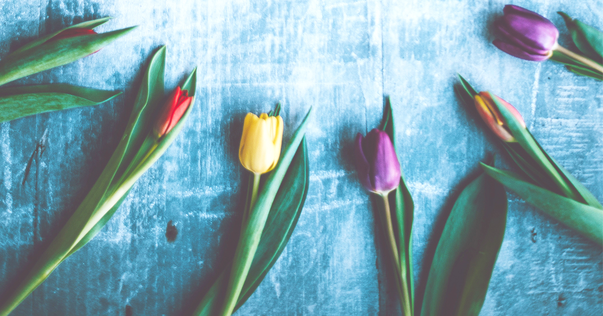 Waiting In Wonder For Easter