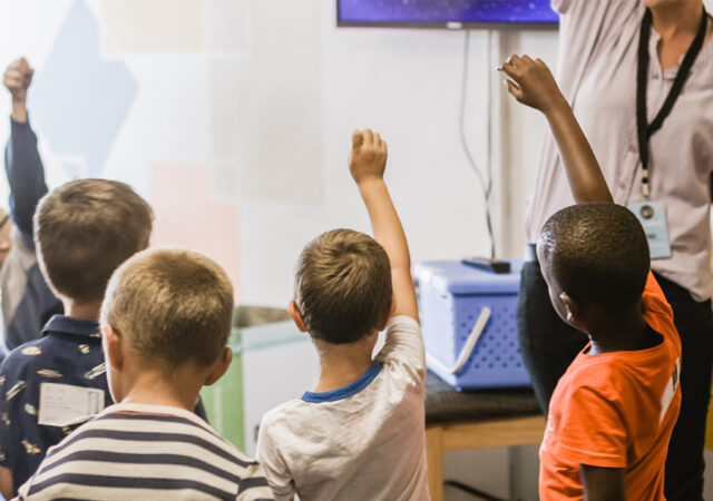 Teacher Appreciation