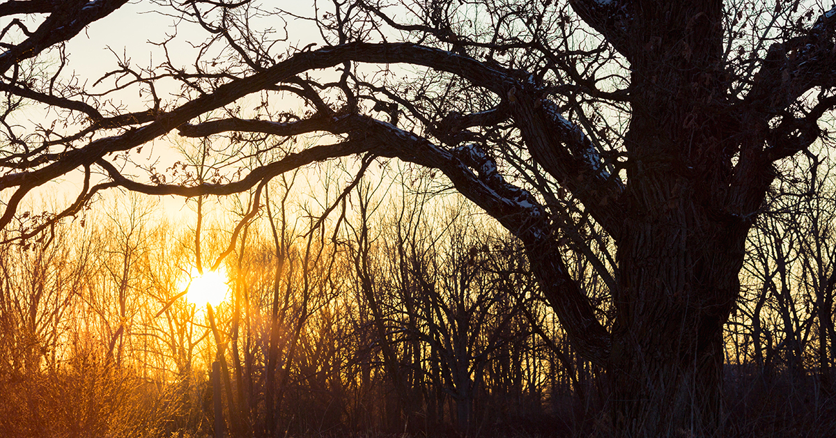 North Wisconsin District